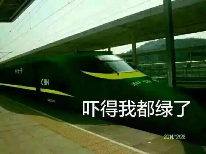 中国铁路  #火车迷  #搞笑表情包  #绿皮车