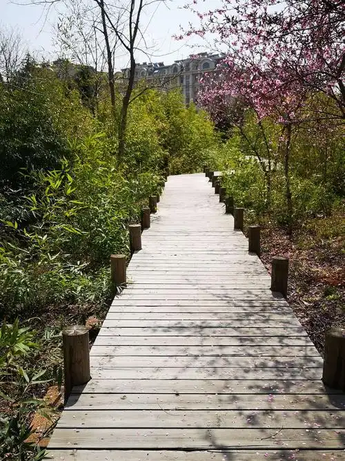 金牛山公园风景纪实