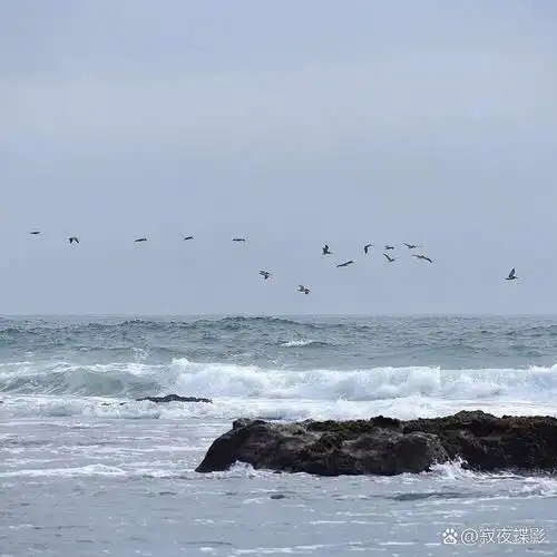 朋友圈封面背景图 | 快来收图啦