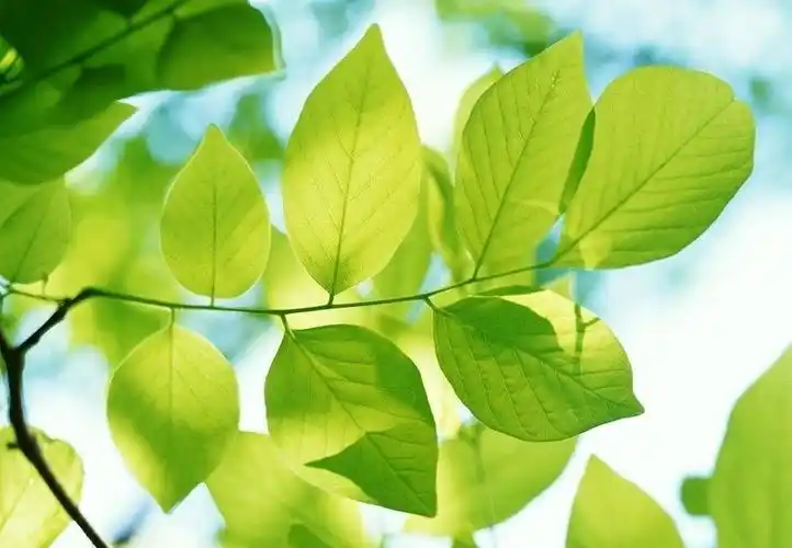 能够给予爱人无尽宠爱的星座,温柔又体贴,做伴侣无可挑剔