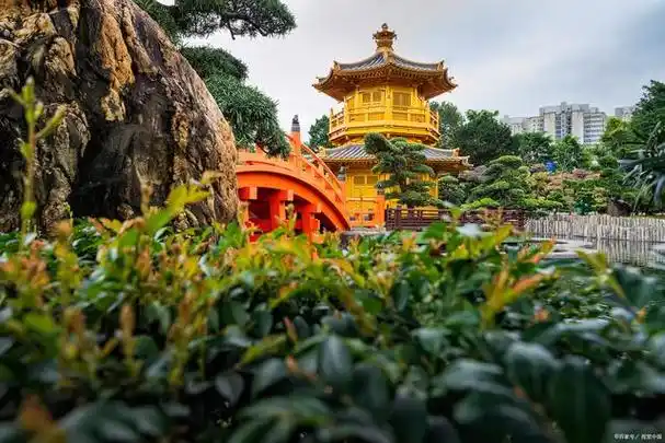 去厦门旅游跟团好还是自由行好,厦门旅游团推荐,看完就明白了