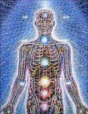 人体能量场粗分为七个,称之为人体能量体