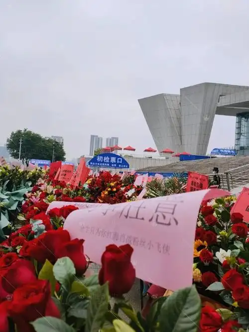 肖战花海应援##肖战如梦之梦