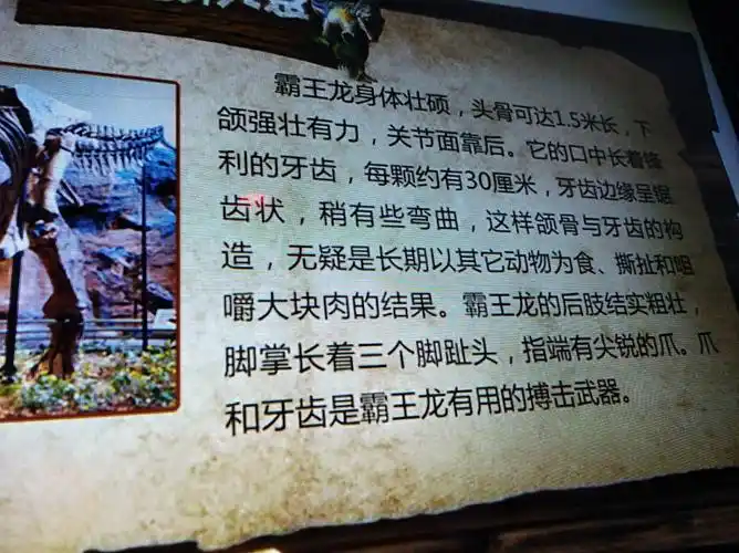 与霸王龙外貌有关的知识.