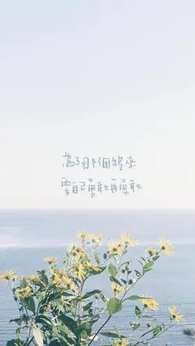 心灵鸡汤文字配图