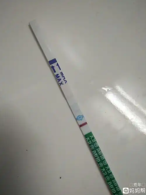 早孕试纸