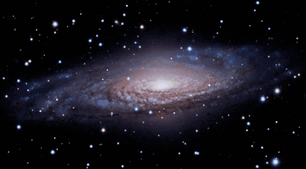 600_332gif 动态图 动图