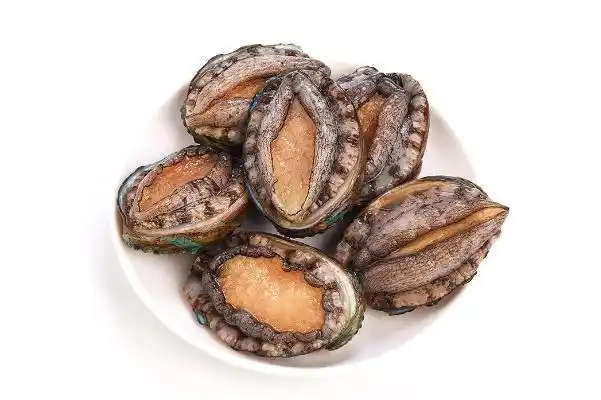 鲜鲍鱼价格(鲍鱼 市场价)