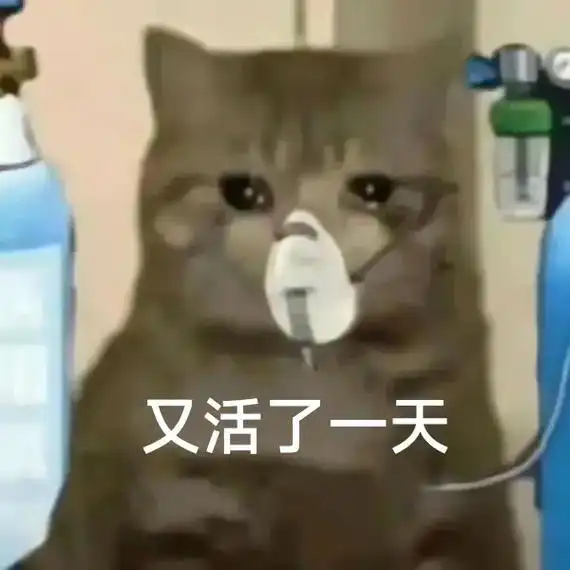 真不错 又活了一天#表情包 - 抖音