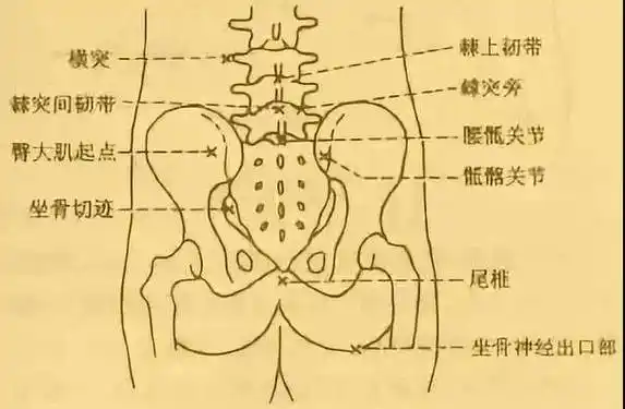 足球干货腰肌拉伤的康复训练