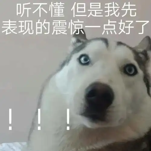 听不懂但是我先表现的震惊一点好了_震惊_听不懂_我先表情 - 发表情 -