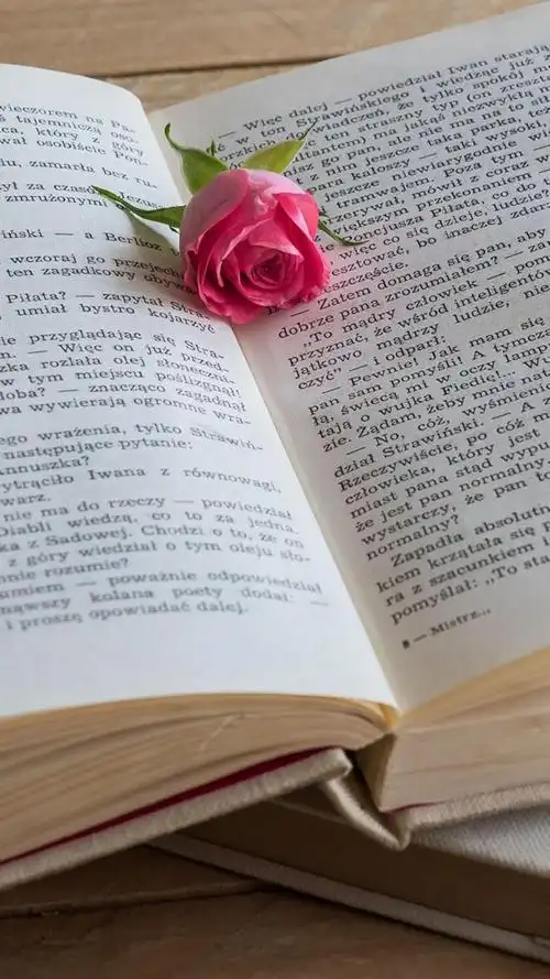 文艺风书籍阅读锁屏