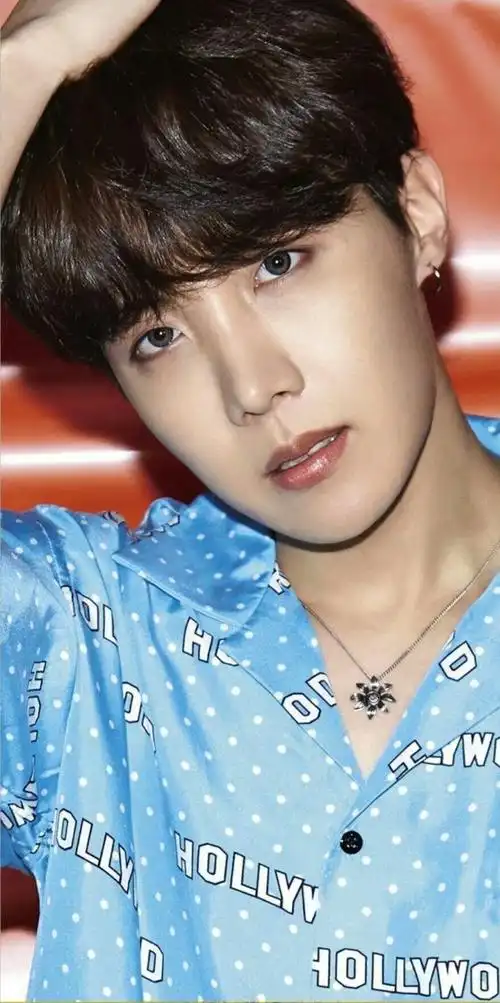 防弹少年团郑号锡