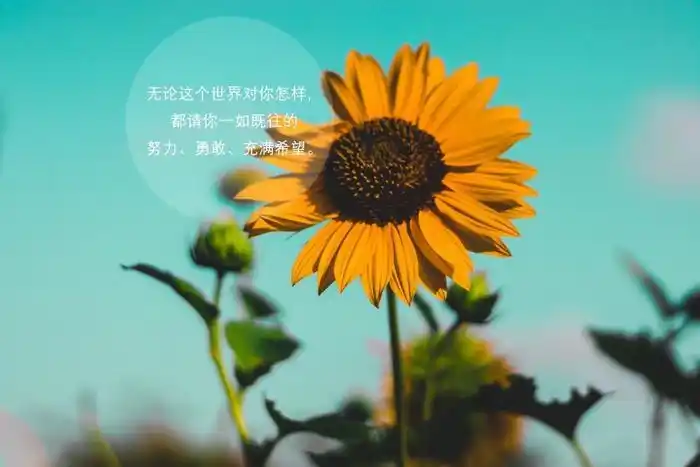 失望常有,希望无穷