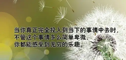2017励志人生带字图片_人生励志带字唯美图片