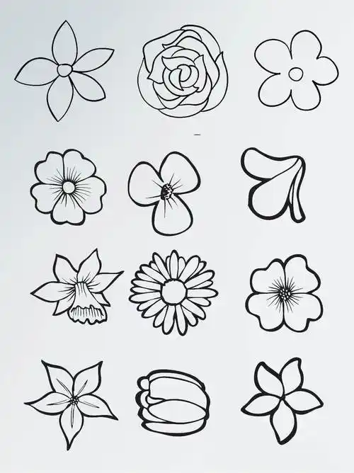 简笔花 简笔花卉画图片大全