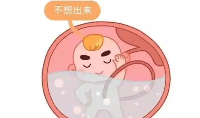 妈妈怀孕期间,宝宝每天在肚子里经历的24小时,竟然这么有趣!