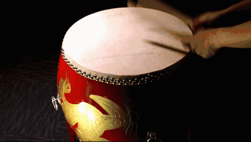 500_282gif 动态图 动图