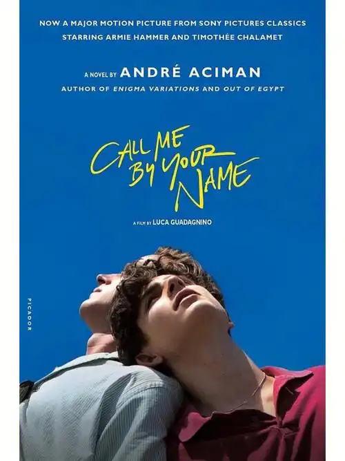 最温柔的颜色是蓝色这部电影后劲有点大