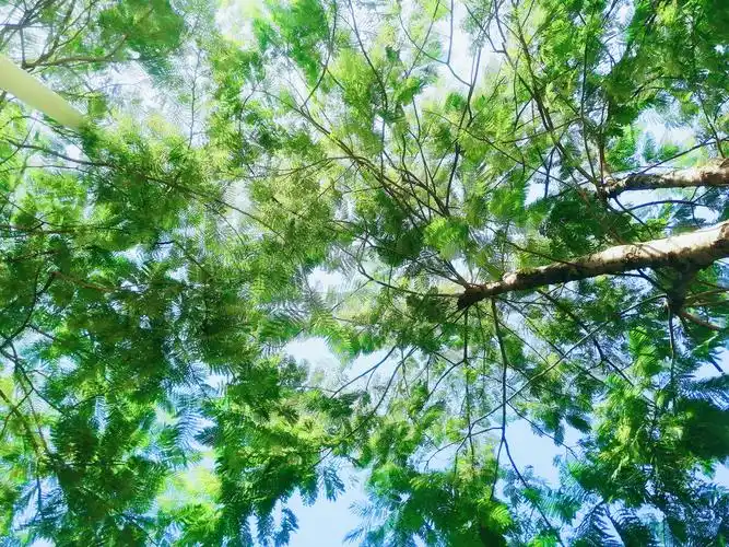 轻松愉悦抑郁感慨点赞是美德,打赏是鼓励打赏还没有人打赏,快来当第一