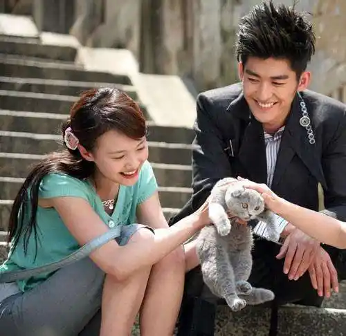 用情至深?郑爽上节目带着张翰旧照,乞求戚薇别翻开