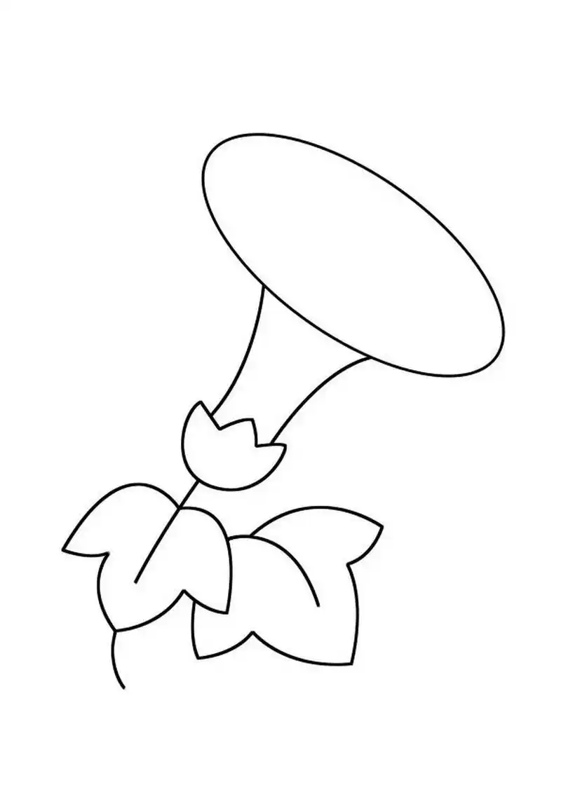 儿童手绘简笔画|牵牛花