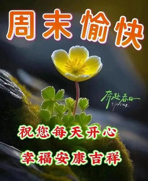 最新每天早上问候语 最新创意的春天早安早上好图片带字带祝福语