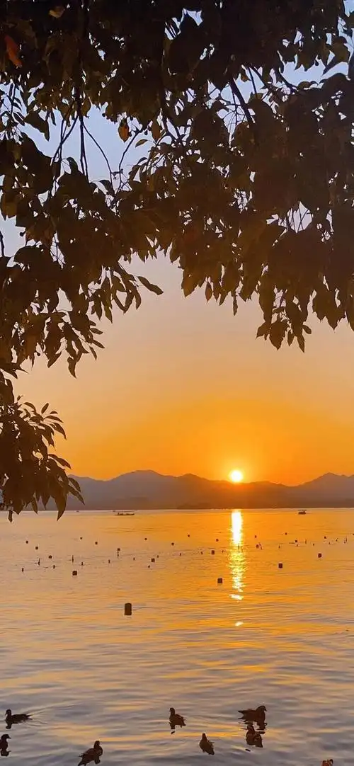 24」早安心语,正能量朋友圈心情语录很潮的早上好图片