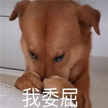 漫画图片搞笑逗比漫画图片搞笑逗比招聘图片搞笑逗比头像男生