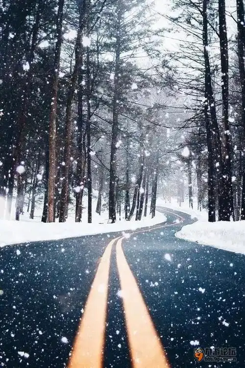 眼泪比笑容特别