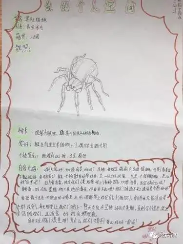 关于迷宫蛛的手抄报手抄报图片大全集