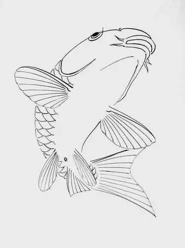鲤鱼白描图