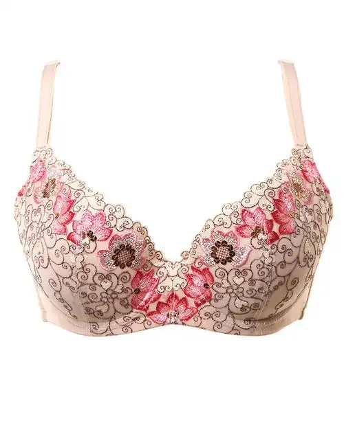 刺绣宽侧边 性感聚拢文胸