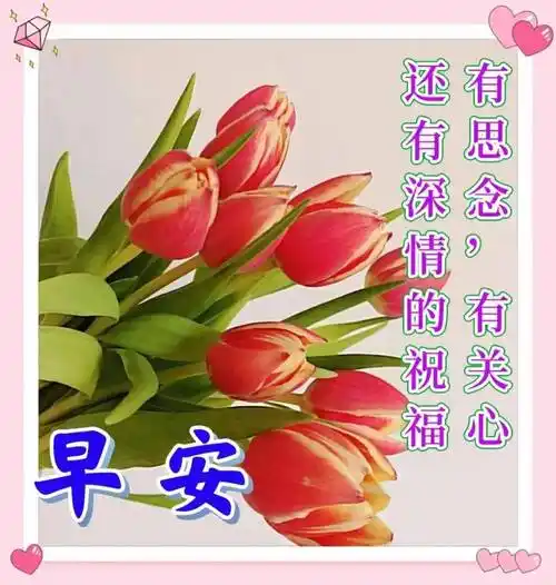 11月30日周四早上好,最新早安温馨祝福图片带字冬日问候语录_朋友