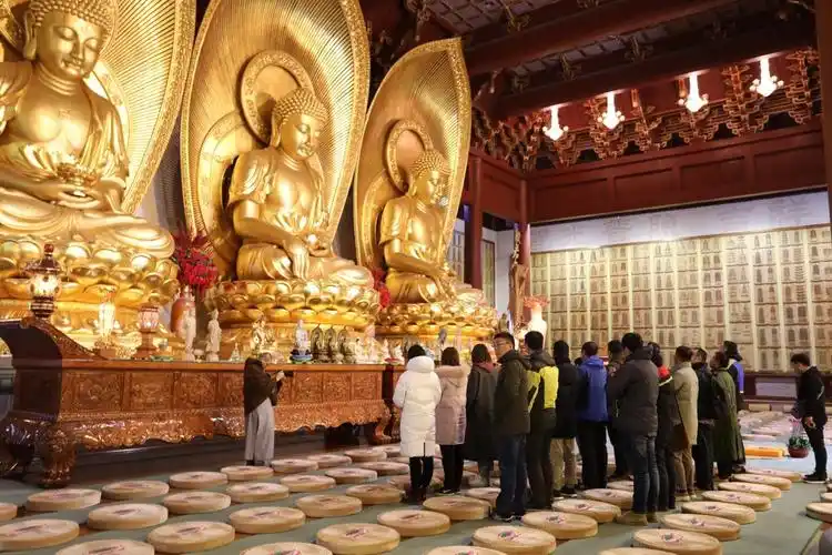蝉游记,今天来到五台山普寿寺