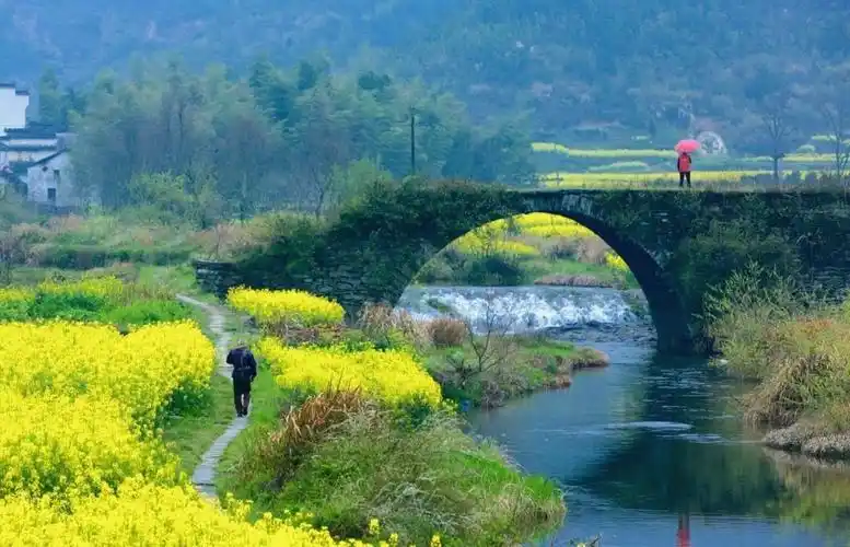 旅行 婺源一中国最美乡村         近处一一田野村庄,小桥流水,古树