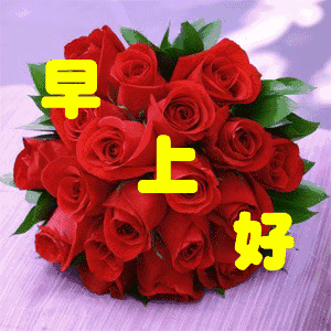 清晨最美的鲜花带字图片,祝你天天好心情