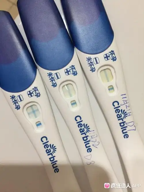 [试管婴儿]移植第十天 大卫三代和可丽蓝 我该信哪个?