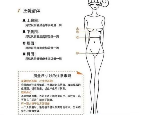 胸围的测量方法请附上图片(该测量那个部位) 还有三围指什么?