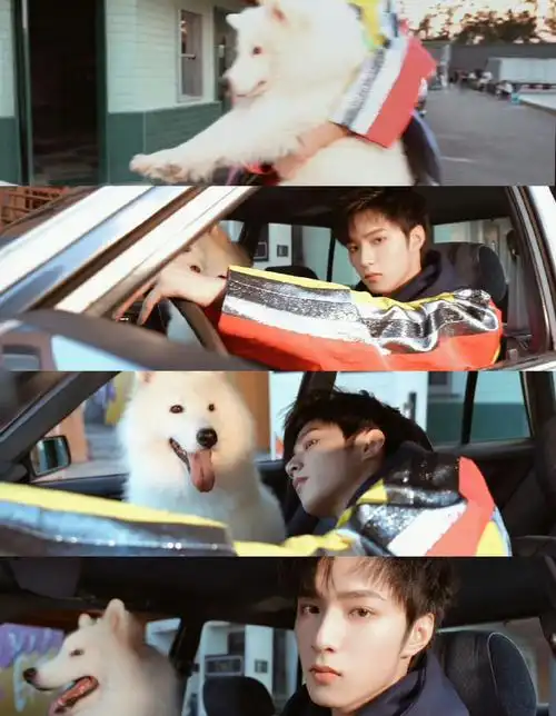 刘耀文驾照到手