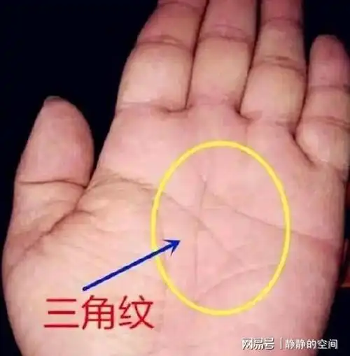 老祖宗俗语三角纹在手富到九十九三角纹在哪里准不准