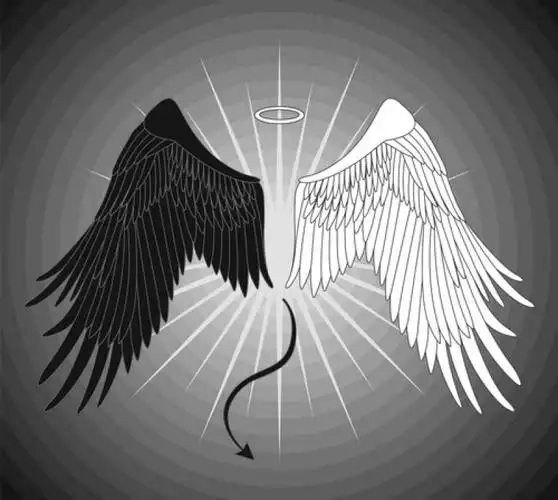 矢量翅膀设计