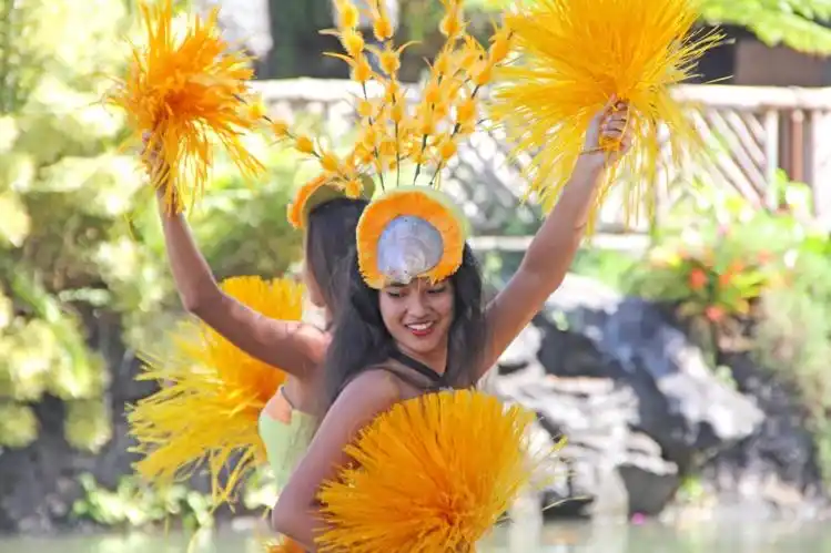 夏威夷草裙舞(一)