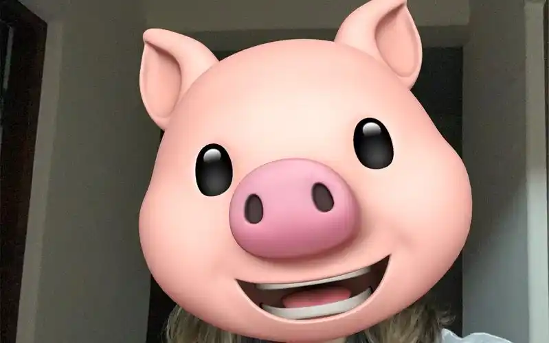 如何制作左拆同款快乐猪头照