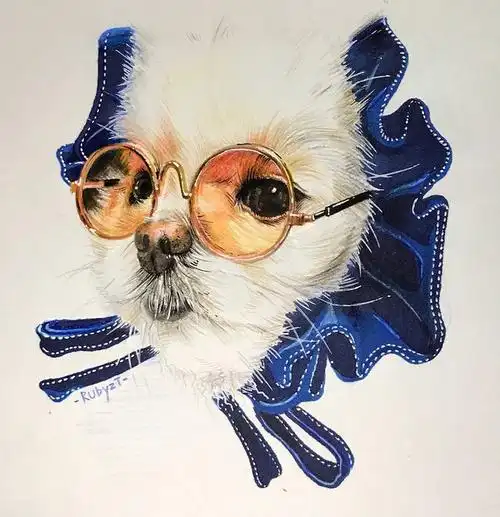 手绘插画马克笔彩铅动物狗