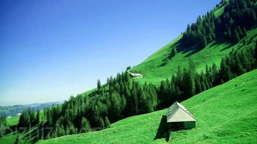 绿色 草地 树林 风景4k壁纸-风景壁纸 - 壁纸家