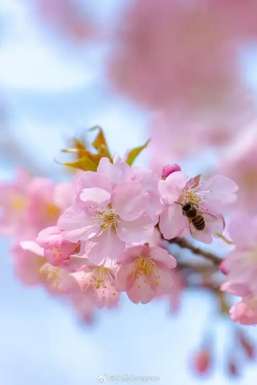 690_1035竖版 竖屏