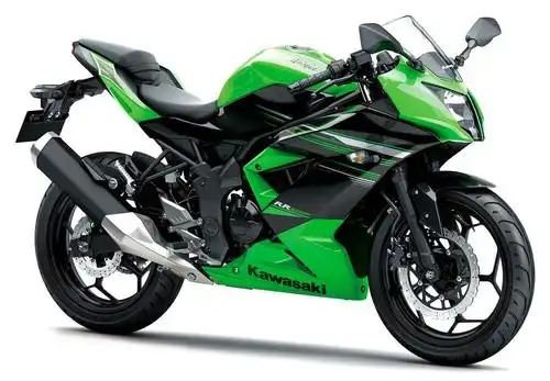 川崎2014 kawasaki ninja 250rr mono