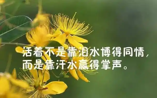 现实的话(人生感悟一段很现实的话图片) - 优美的句子 - 精美文字摘录