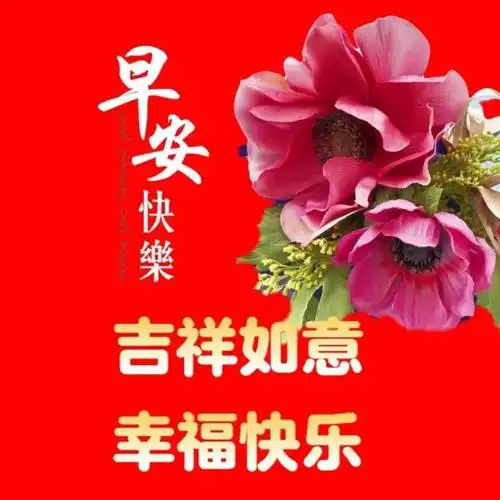 周四群发温馨的早上好问候语,早安语录正能量句子,愿周四安康|清晨